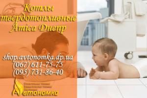 Котлы твердотопливные Amica Днепр